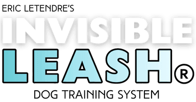Invisible Leash logo